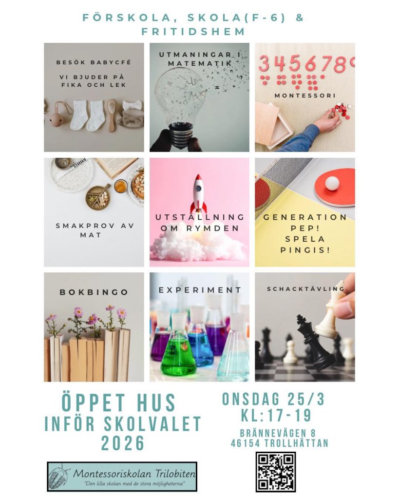 649235235 1514198530709591 5056445294816868177 n 1